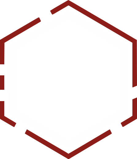 Forge EFI Logo